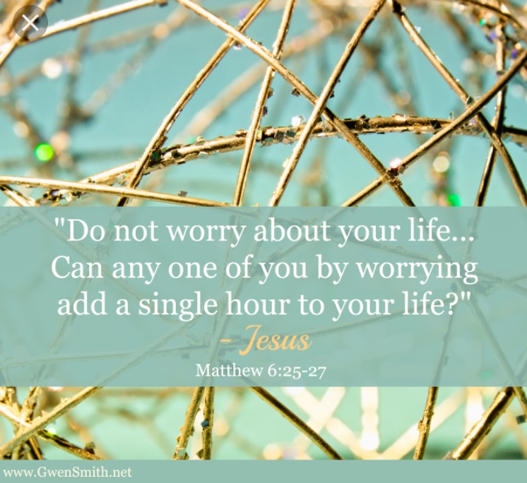 0CFE0EB5-0332-4184-B347-F06FEA3697D3