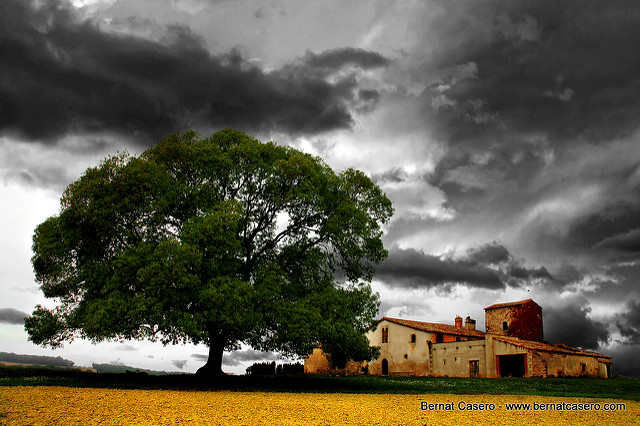 3638552414_cfc865f601_z