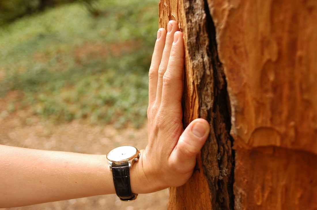 hand hiking hiker resting